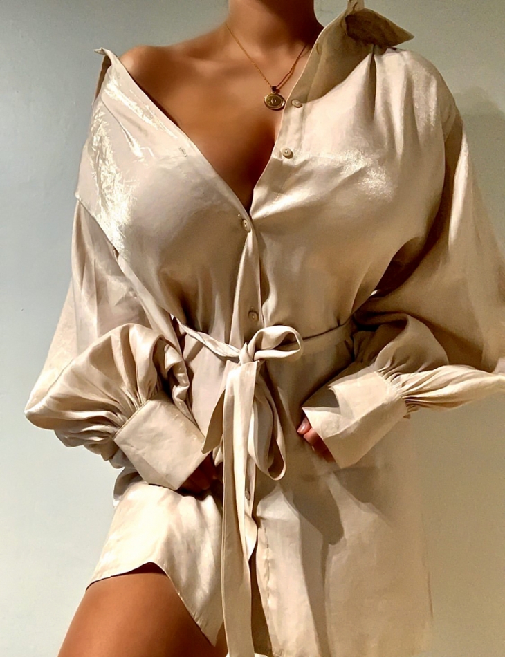 Iridescent Shirt Dress with Belt